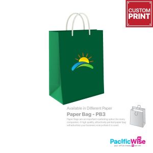 Customized Printing Paper Bag (PB3)